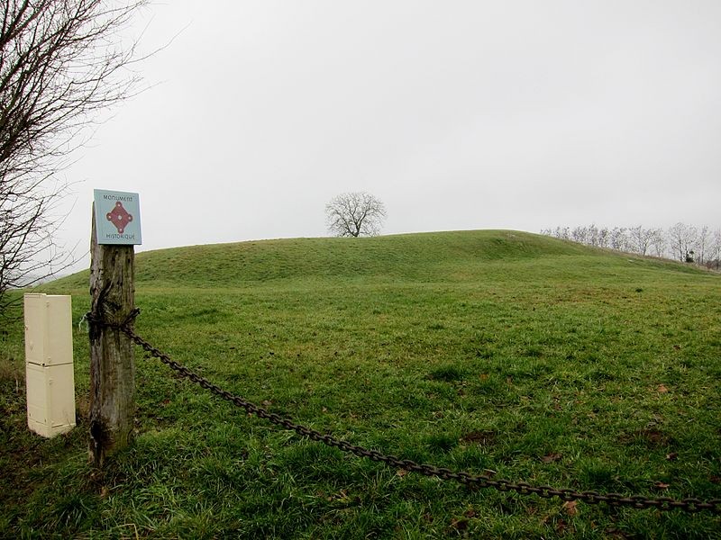 Photo de Motte castrale du Châtellier à Rémalard