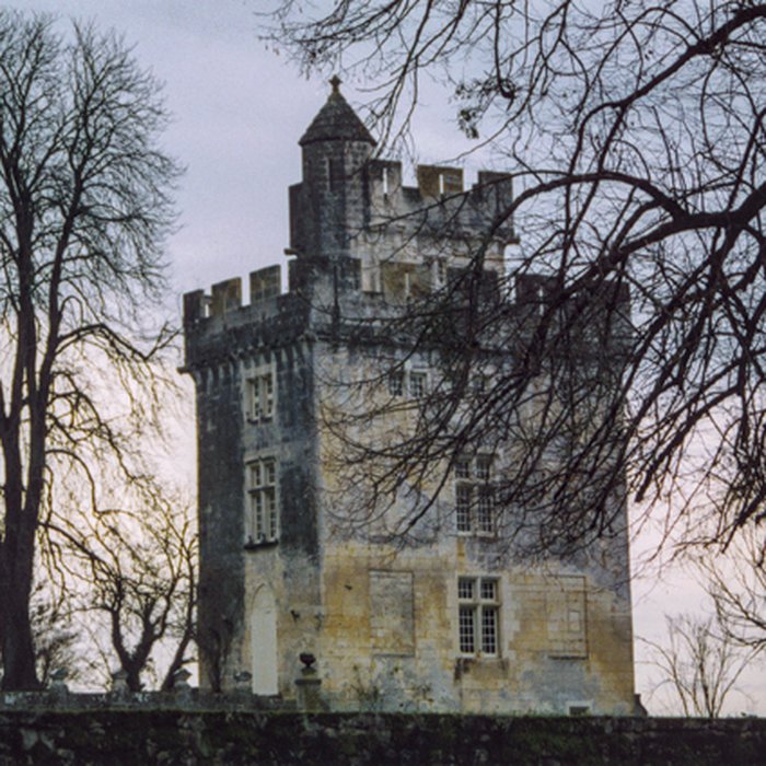 Photo de Château de Crazannes