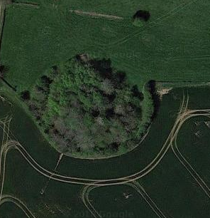 Motte castrale du Petit-Besle à Estouteville-Écalles 