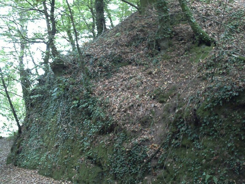 Photo de Motte castrale du Roc'h à Arzano