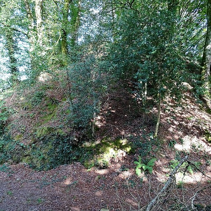 Photo de Motte castrale du Roch à Arzano