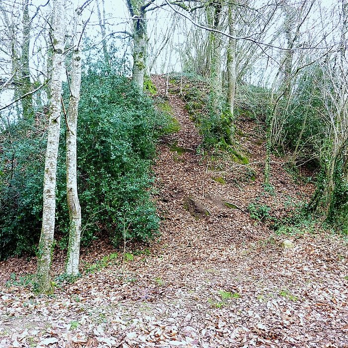 Photo de Motte castrale du Roch à Arzano