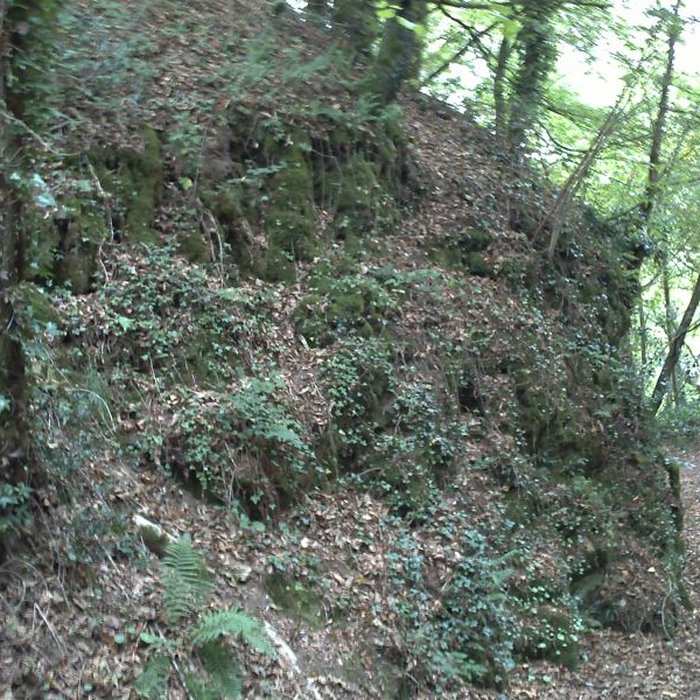 Photo de Motte castrale du Roch à Arzano