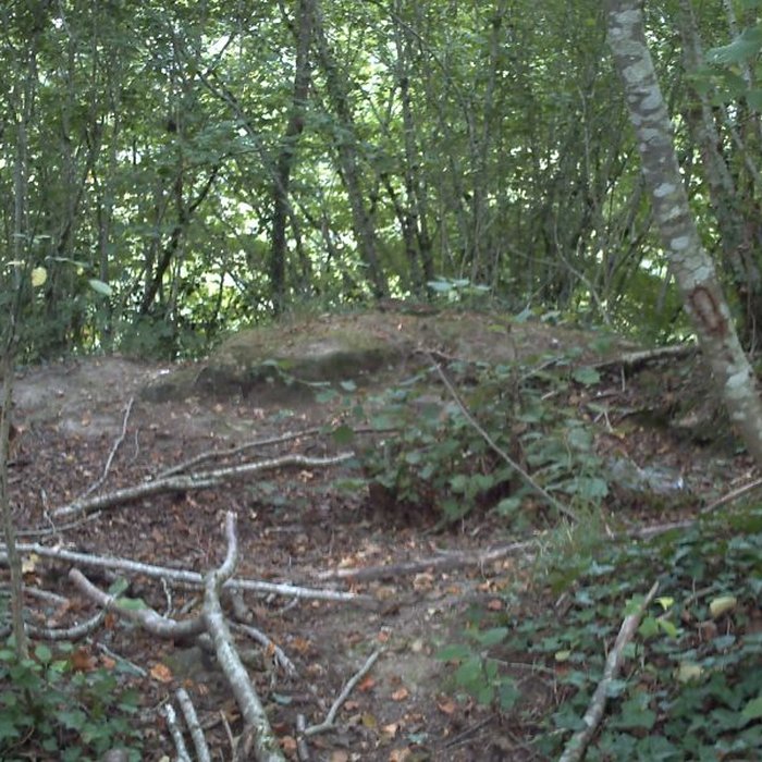 Photo de Motte castrale du Roch à Arzano