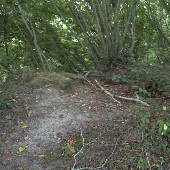 Photo de Motte castrale du Roch à Arzano