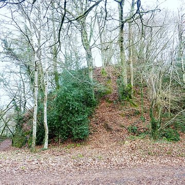 Motte castrale du Roch à Arzano