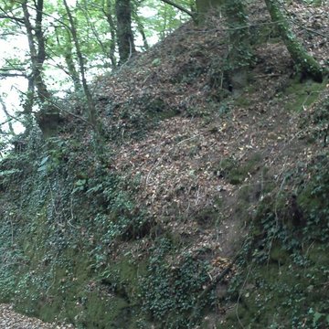 Motte castrale du Roch à Arzano