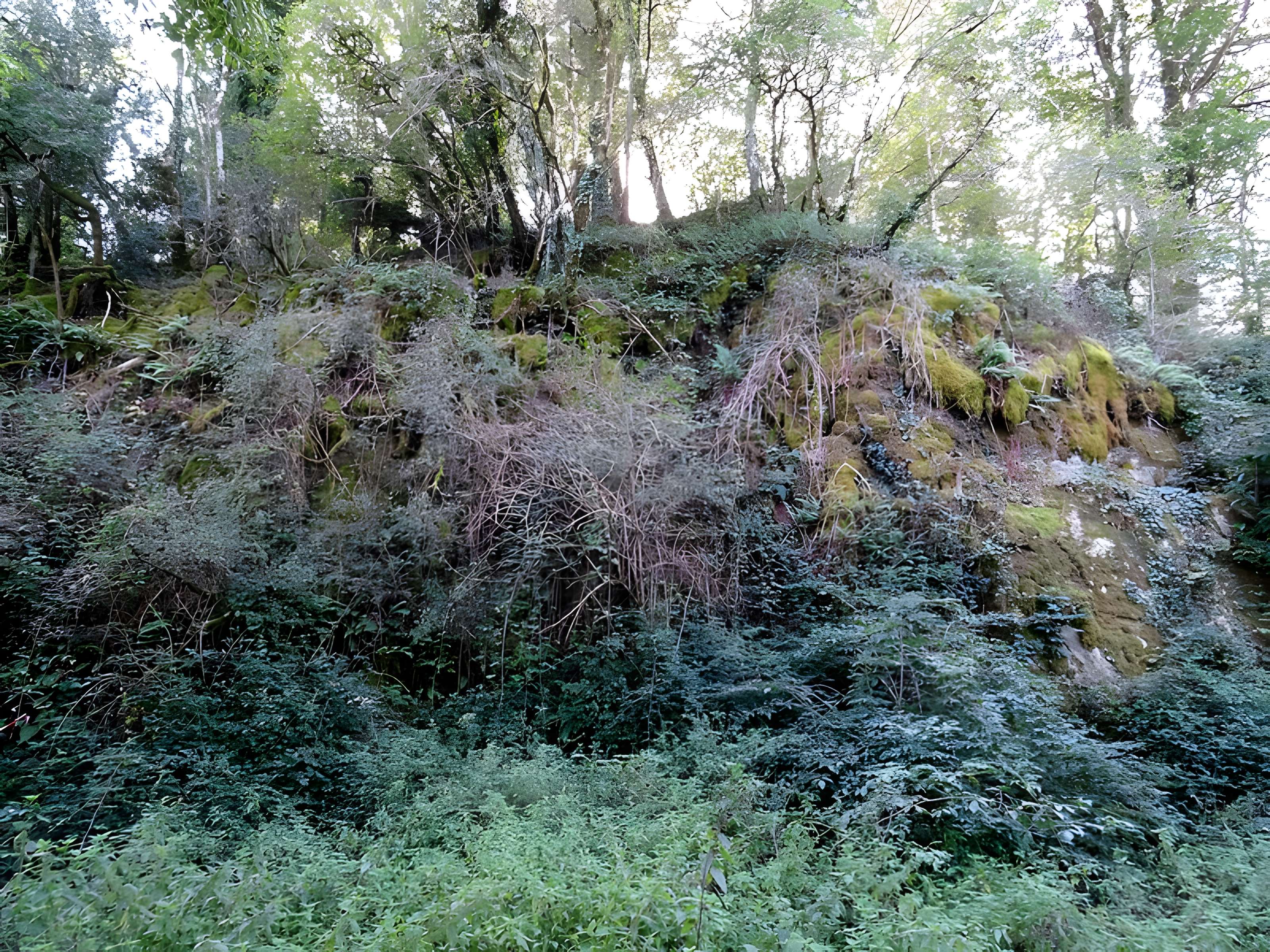 Motte castrale du Roc'h à Arzano