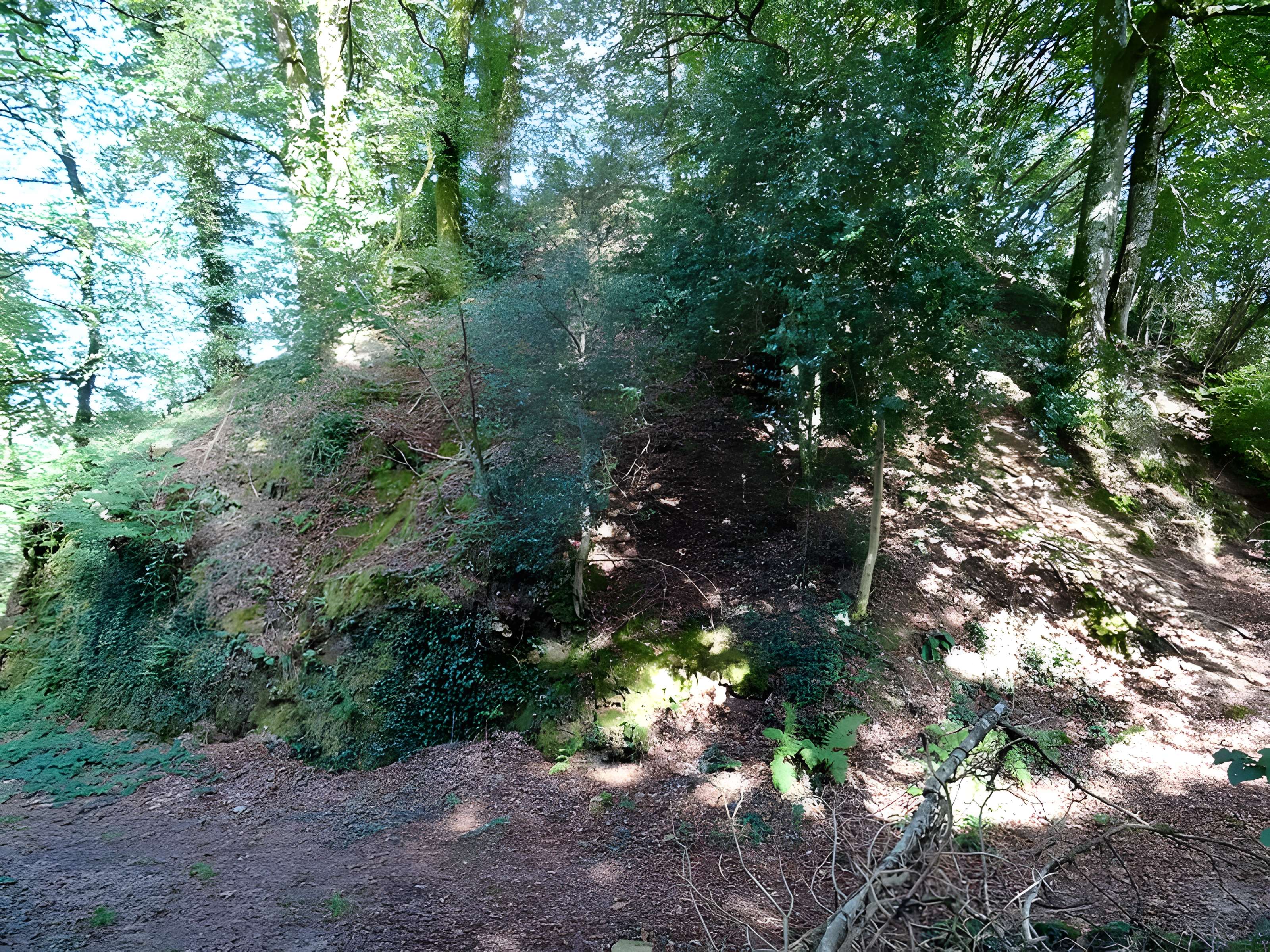 Motte castrale du Roc'h à Arzano