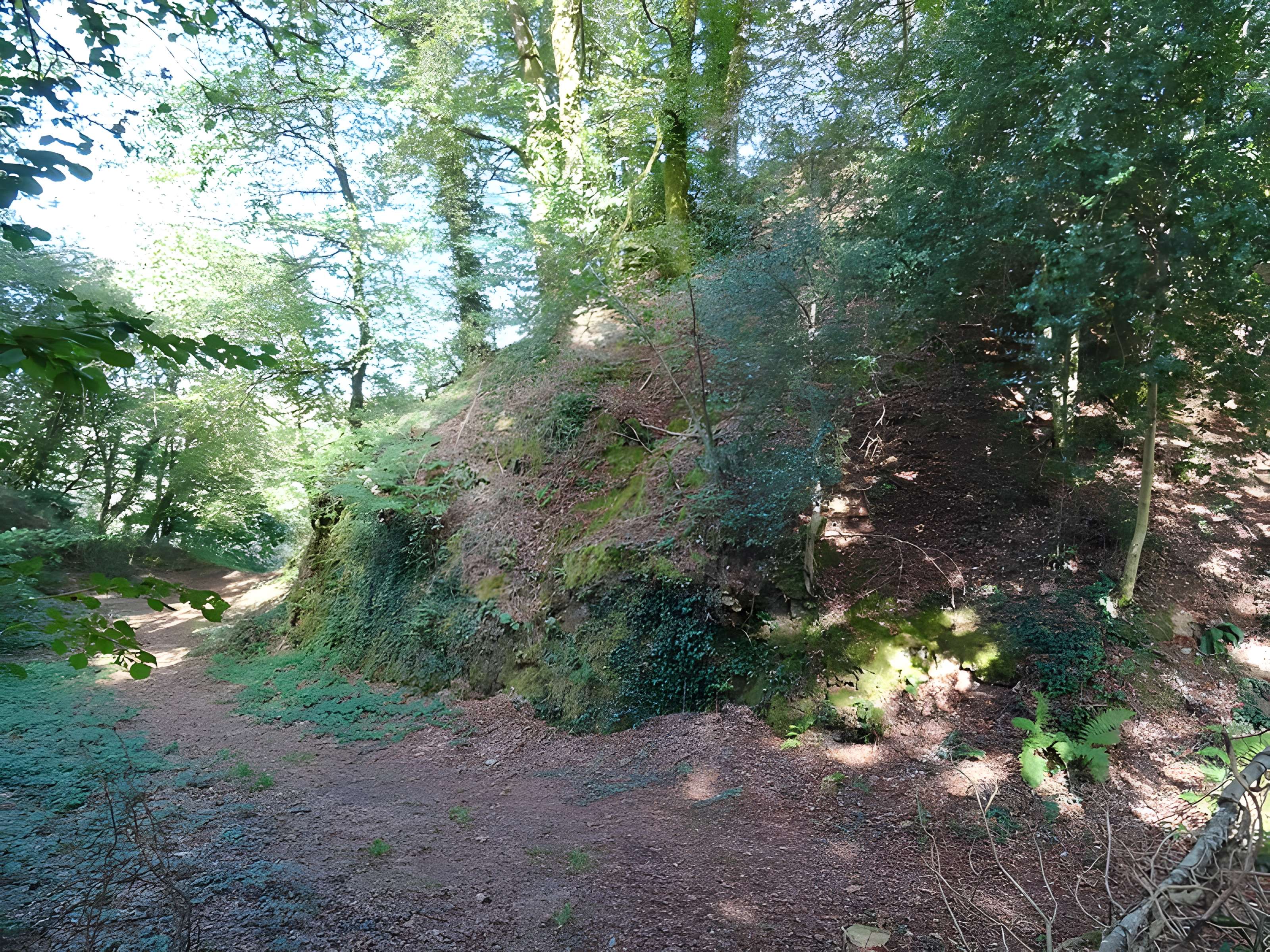 Motte castrale du Roc'h à Arzano