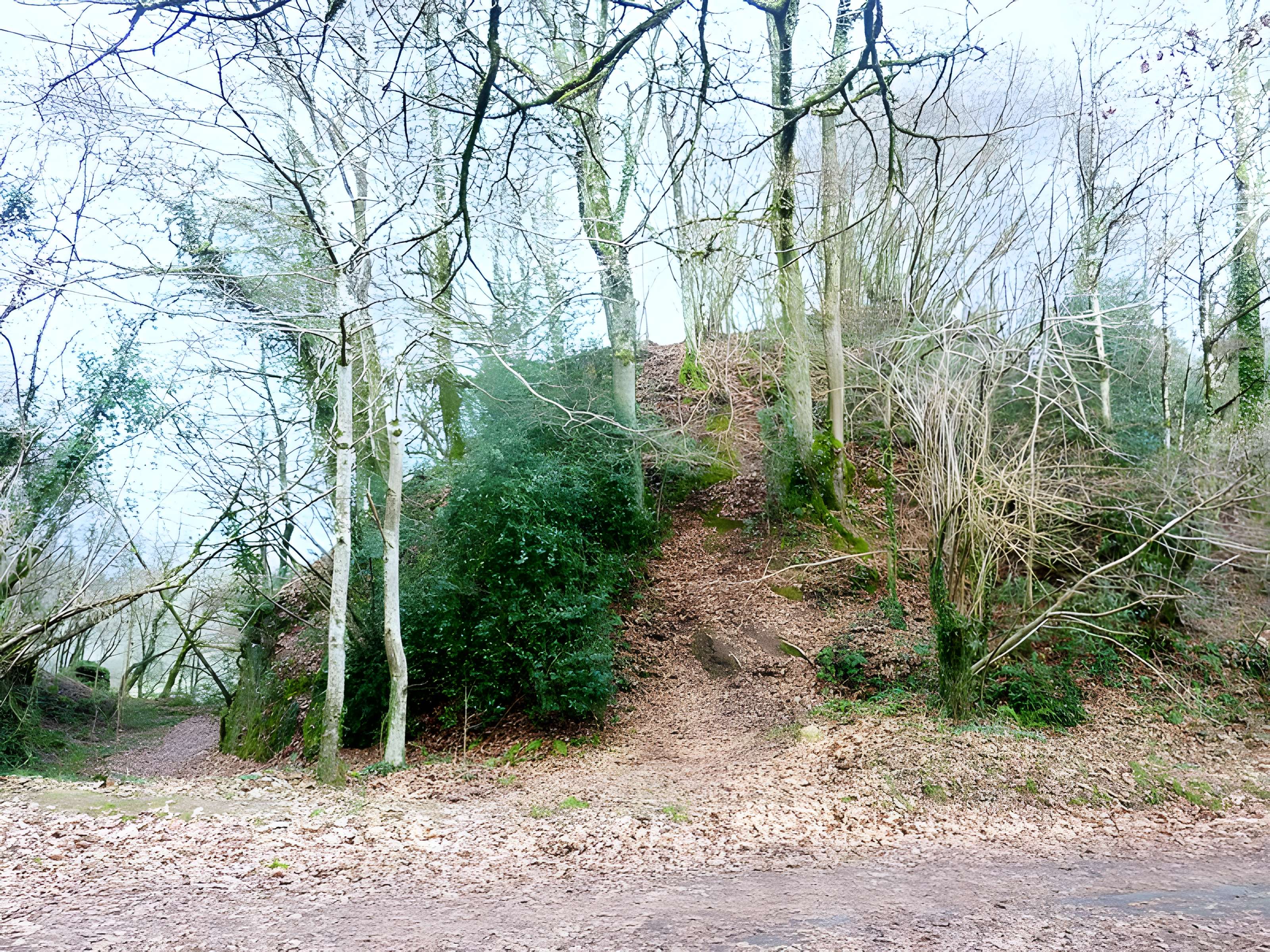 Motte castrale du Roc'h à Arzano