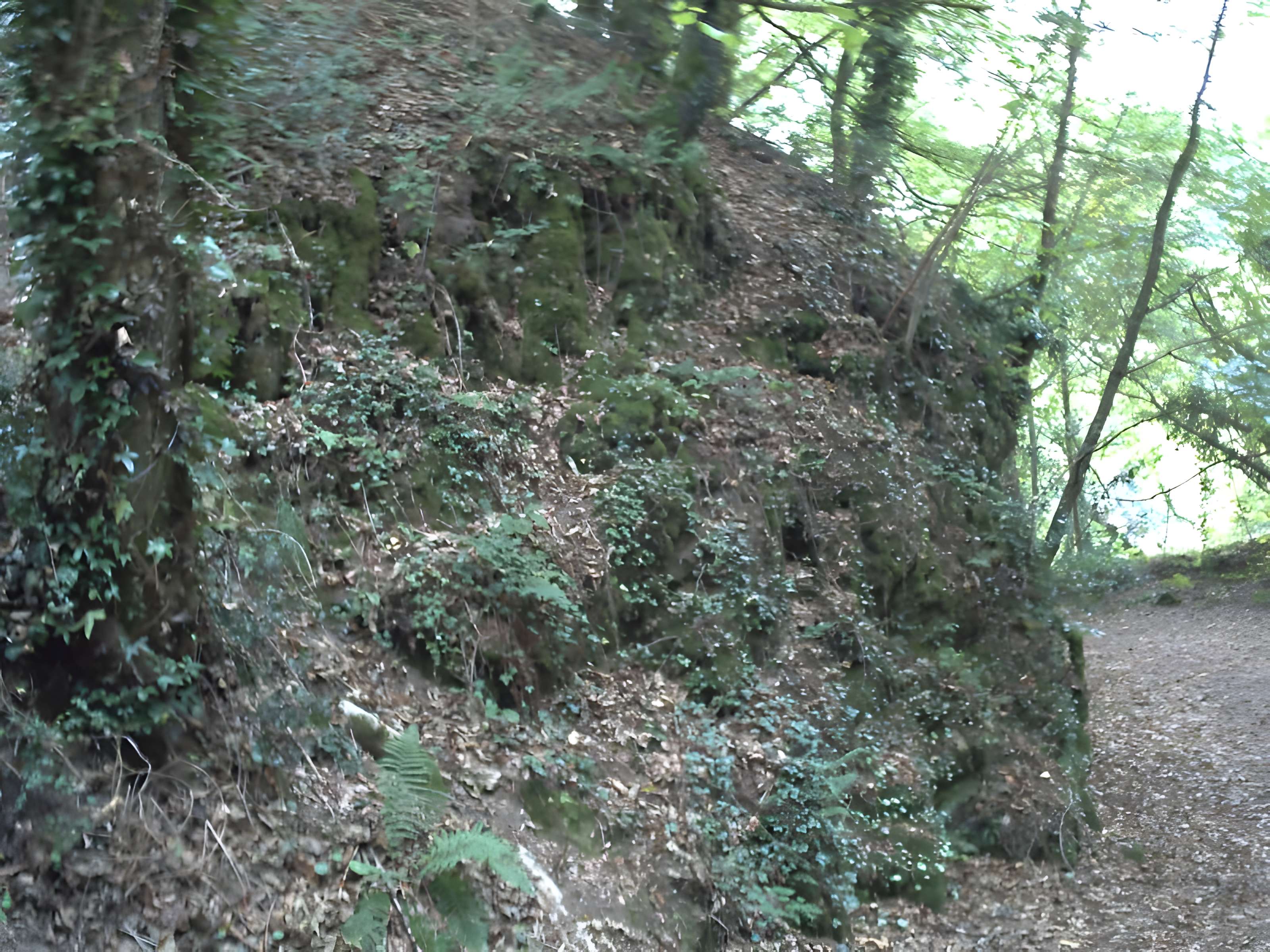 Motte castrale du Roc'h à Arzano