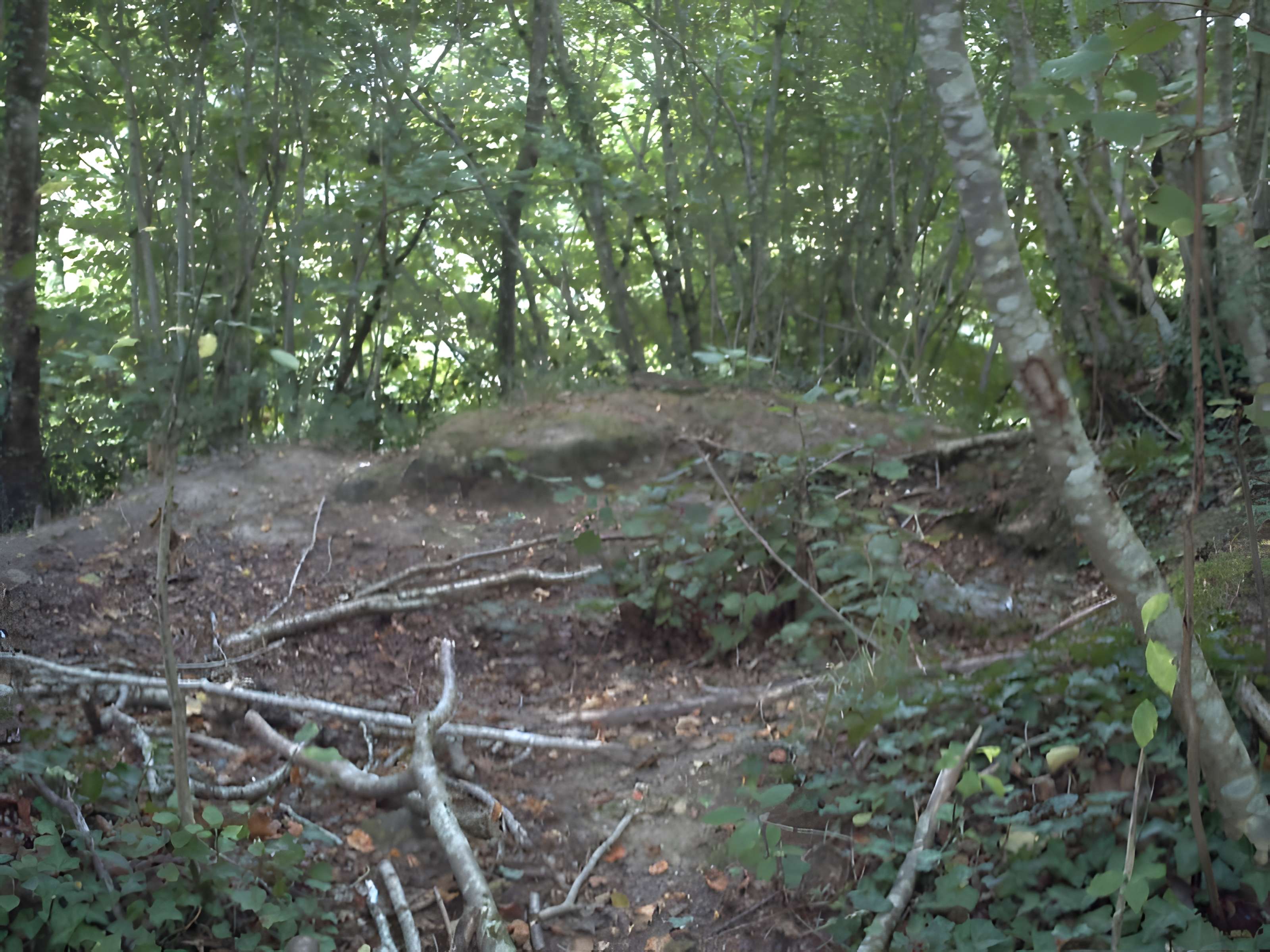 Motte castrale du Roc'h à Arzano