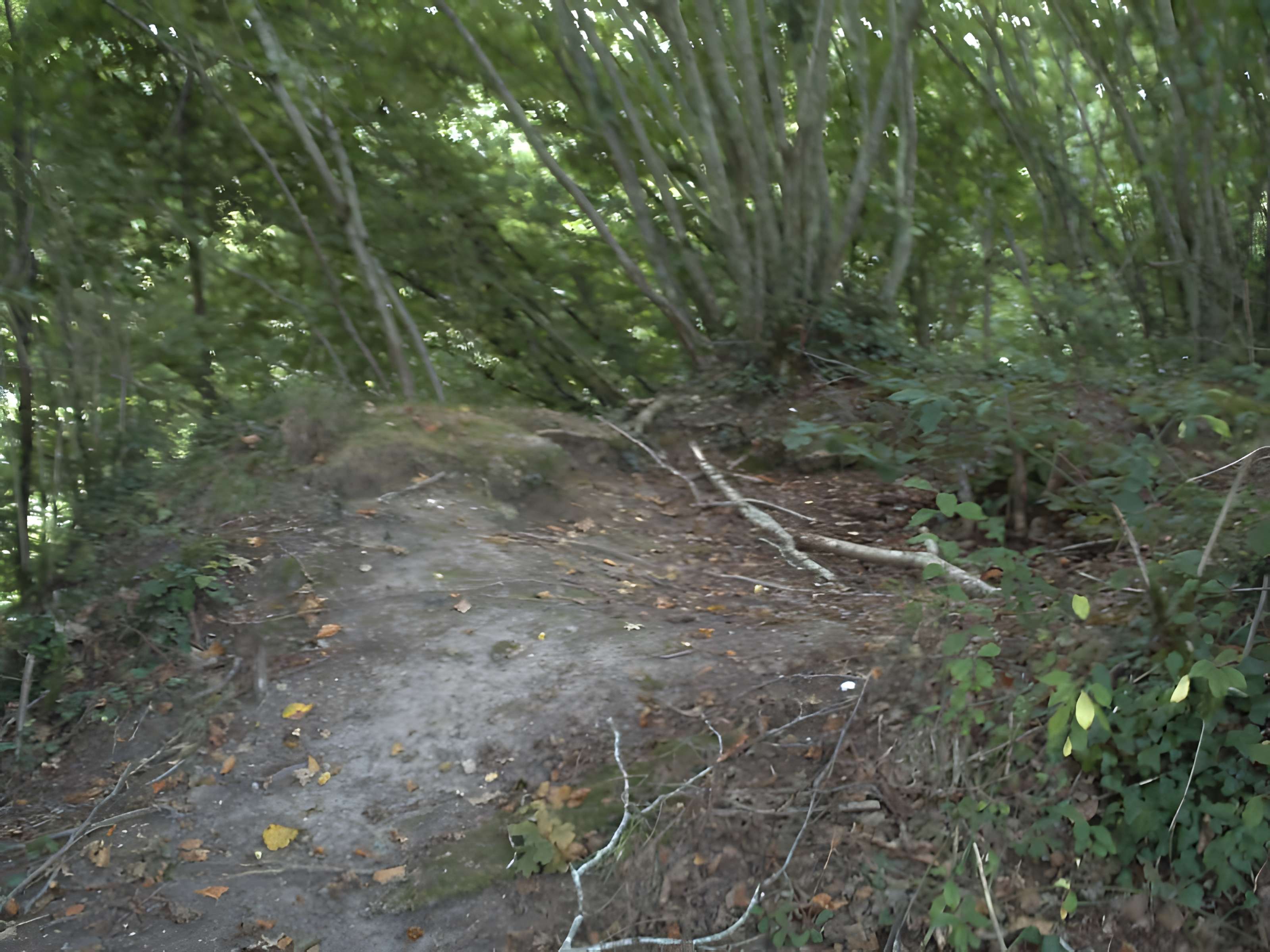 Motte castrale du Roc'h à Arzano