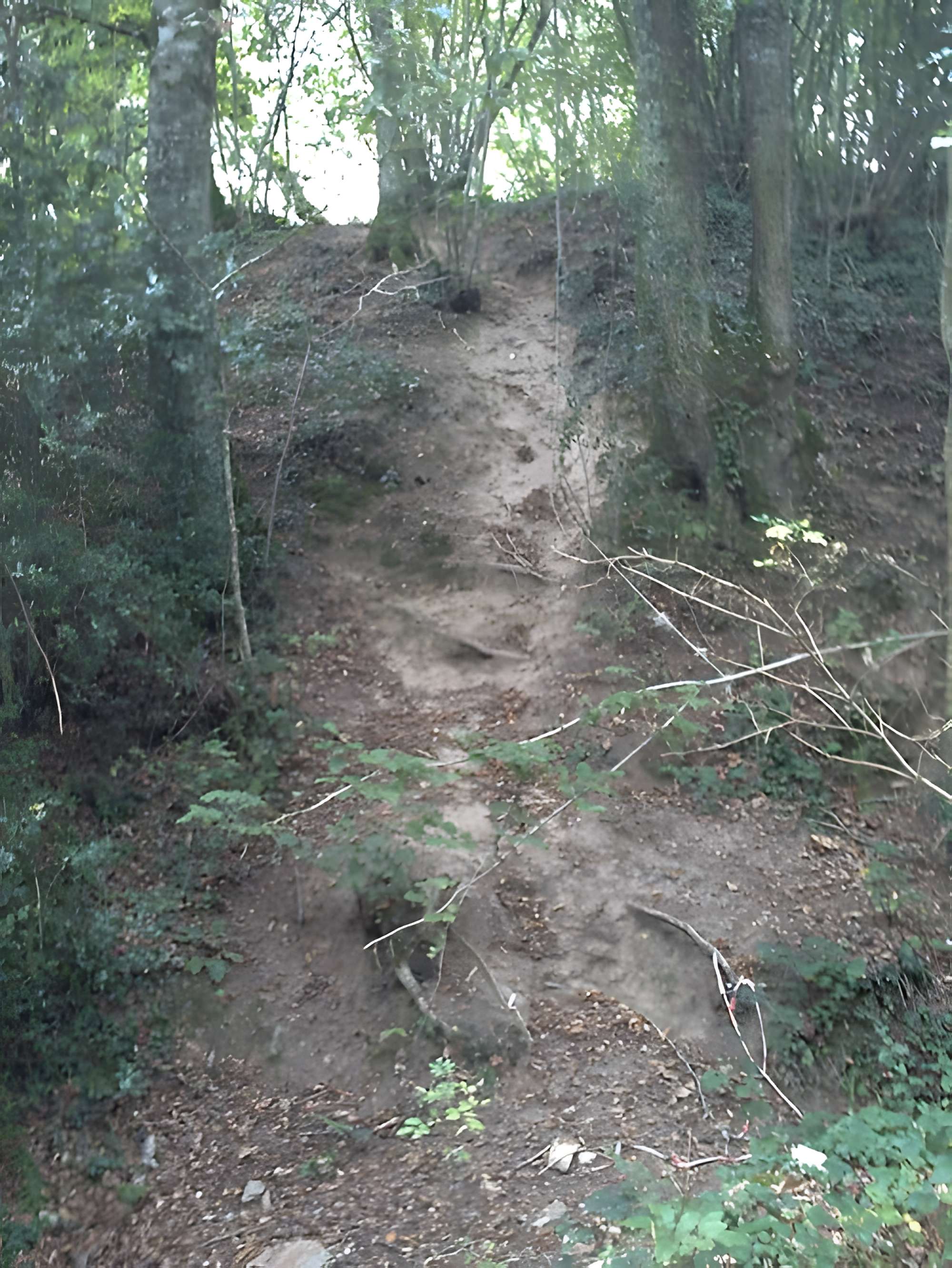 Motte castrale du Roc'h à Arzano