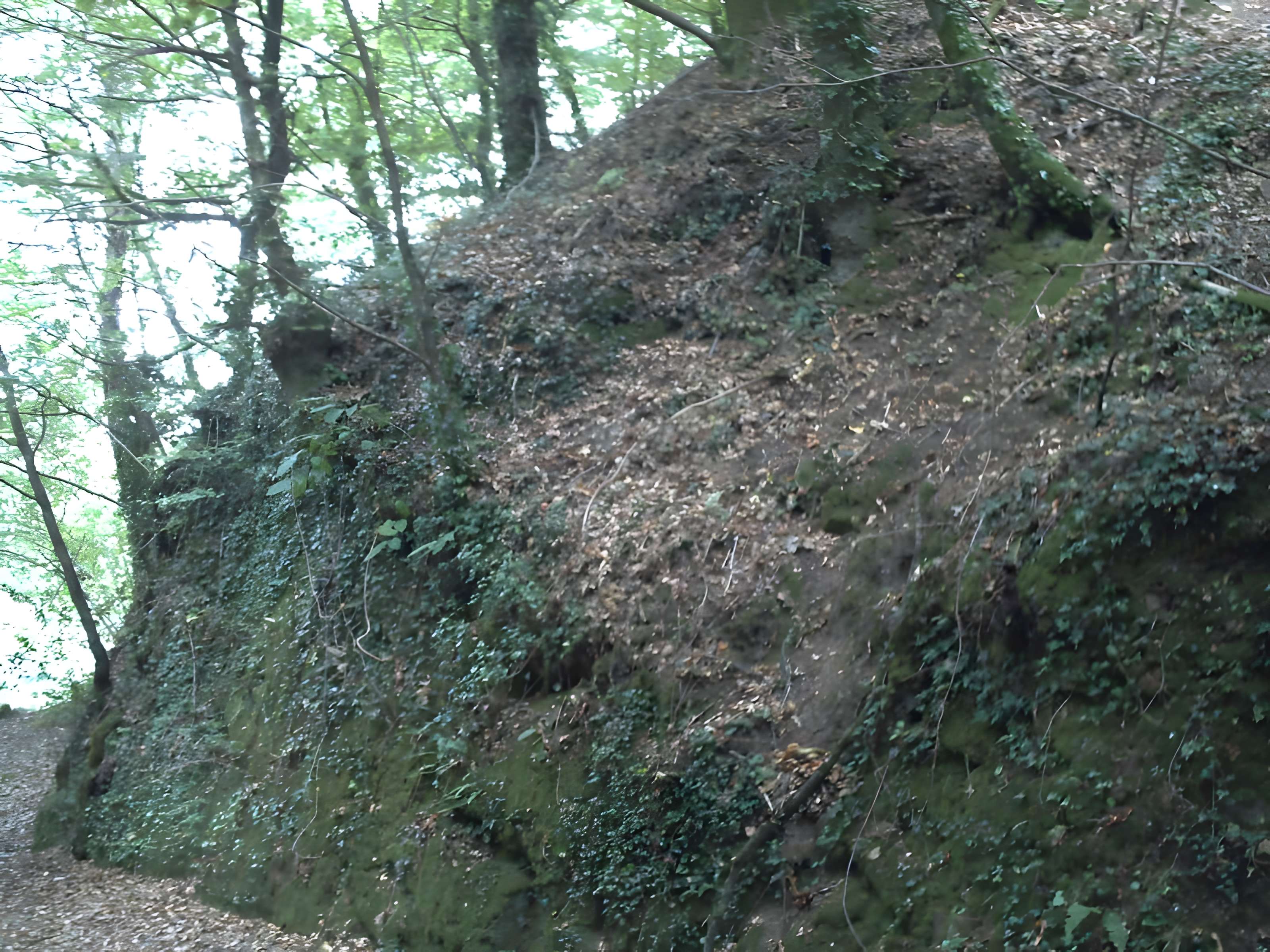 Motte castrale du Roc'h à Arzano
