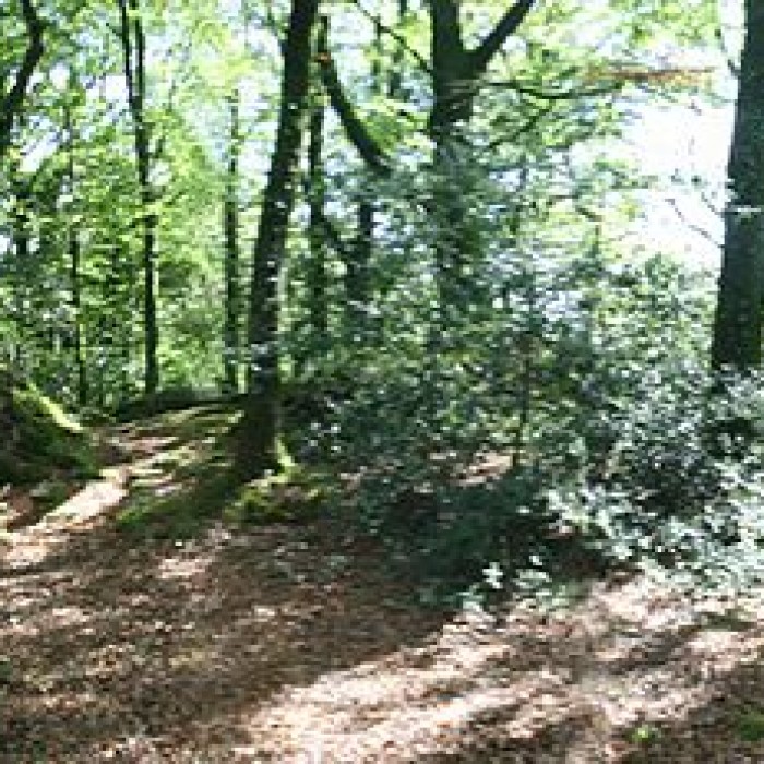 Photo de Motte de Kermain à Langonnet