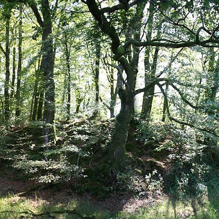 Photo de Motte de Kermain à Langonnet