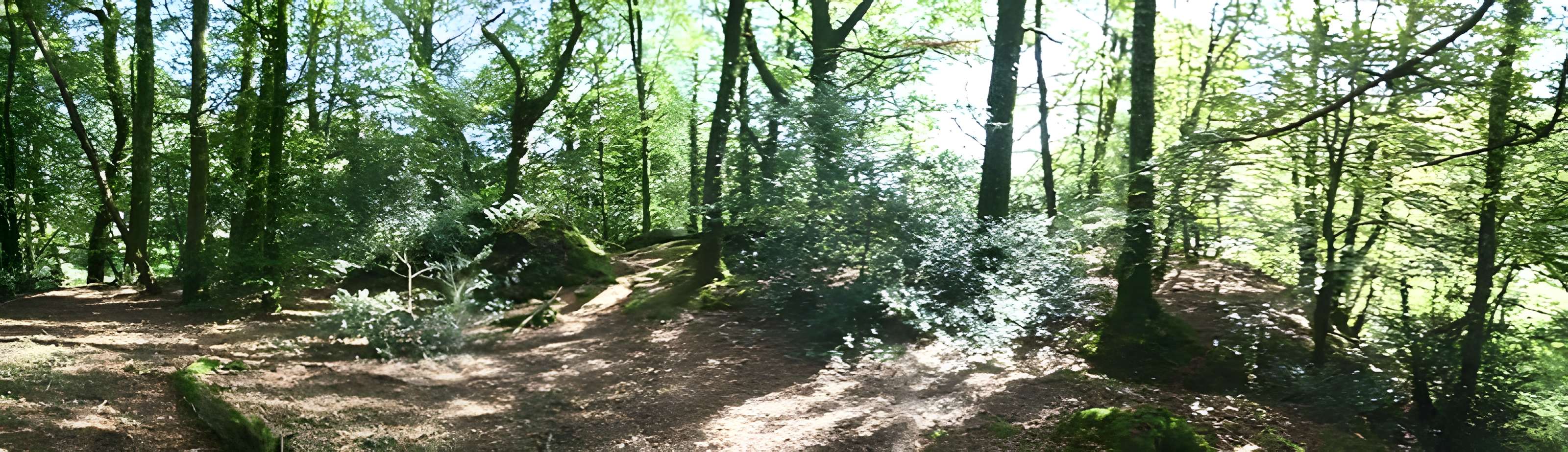 Motte de Kermain à Langonnet 