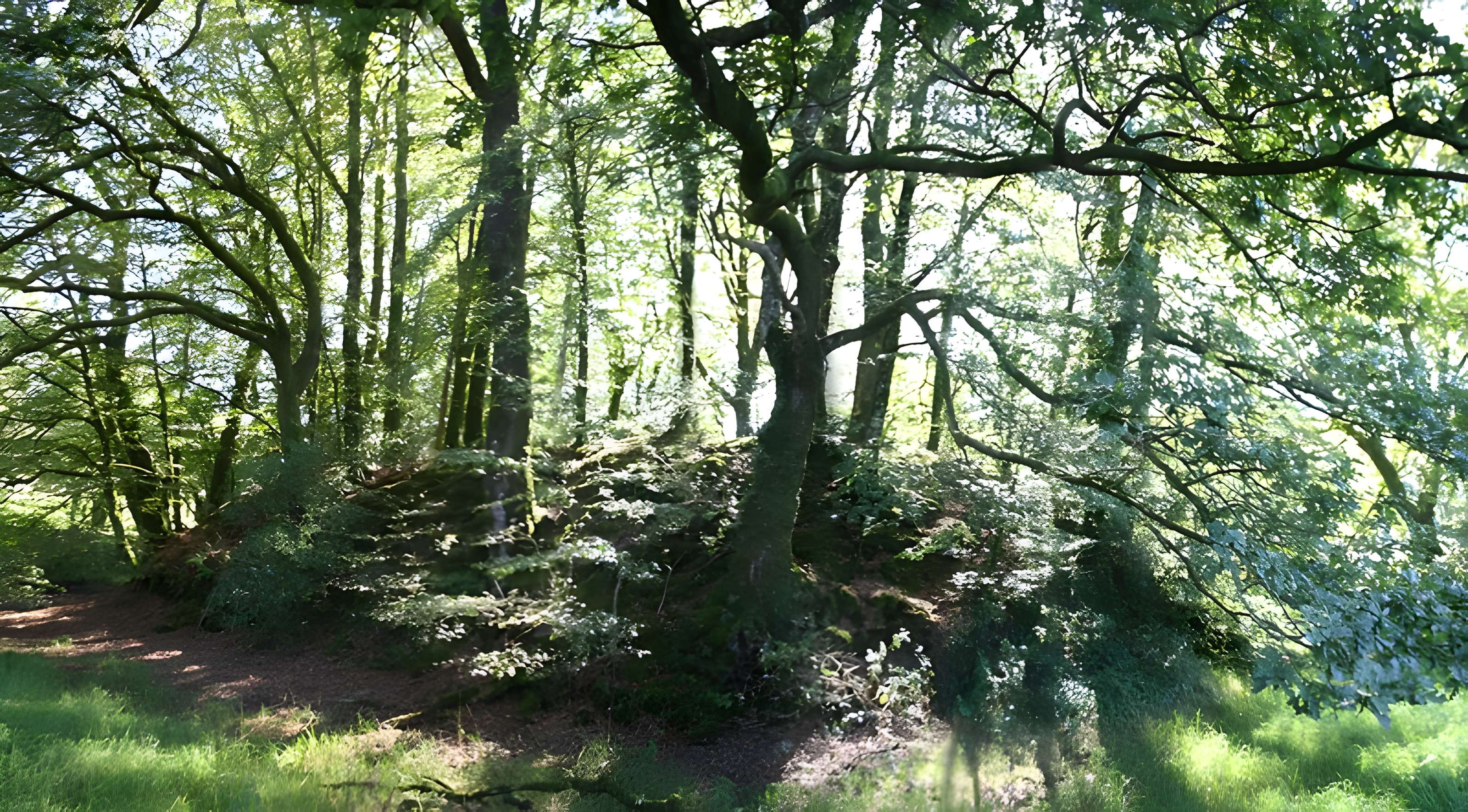 Motte de Kermain à Langonnet