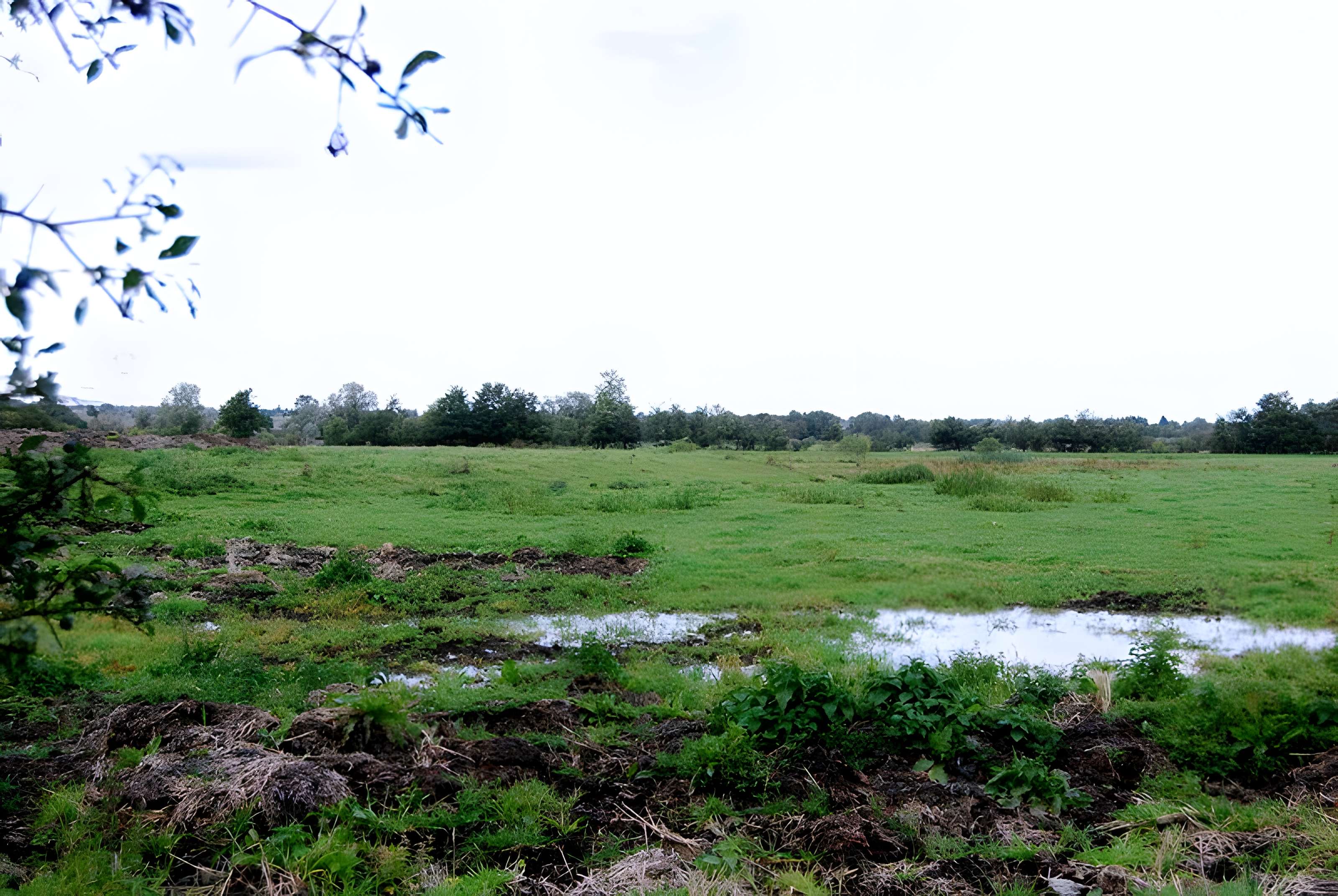 Motte féodale d'Aulnoye-Aymeries 