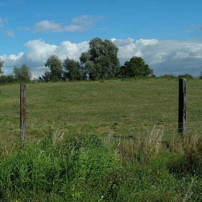 Photo de Motte féodale de Bailleul