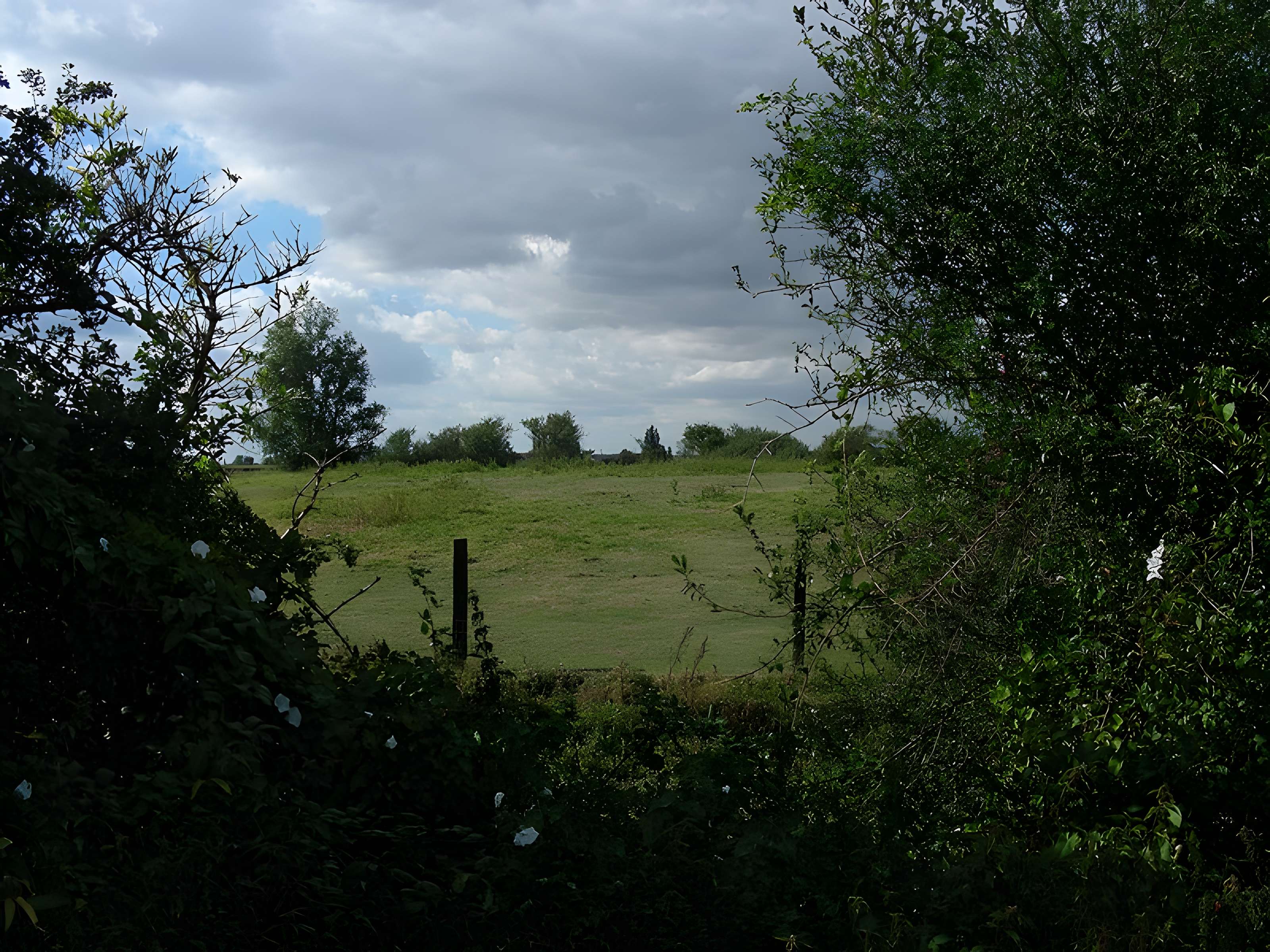 Motte féodale de Bailleul