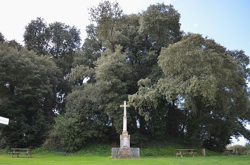 Photo de Motte féodale de Bois-de-Céné