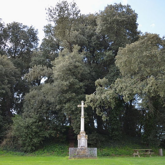 Photo de Motte féodale de Bois-de-Céné