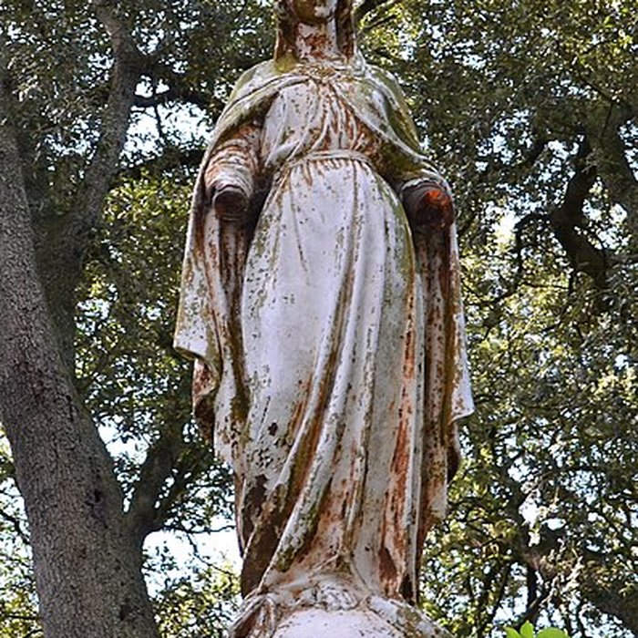 Photo de Motte féodale de Bois-de-Céné
