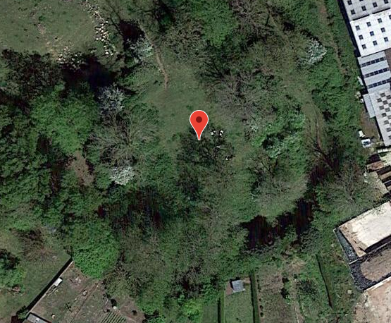 Motte féodale de Buire-le-Sec 