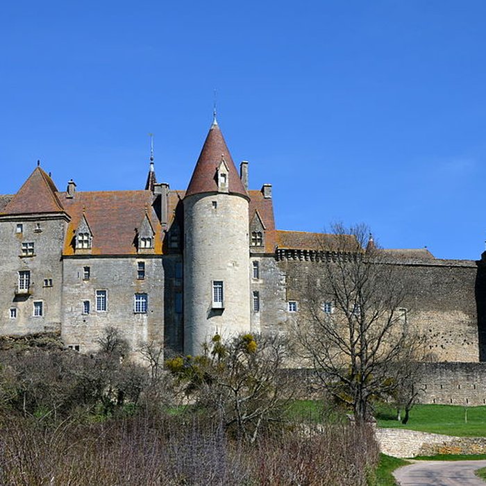 Photo de Motte féodale de Châteauneuf