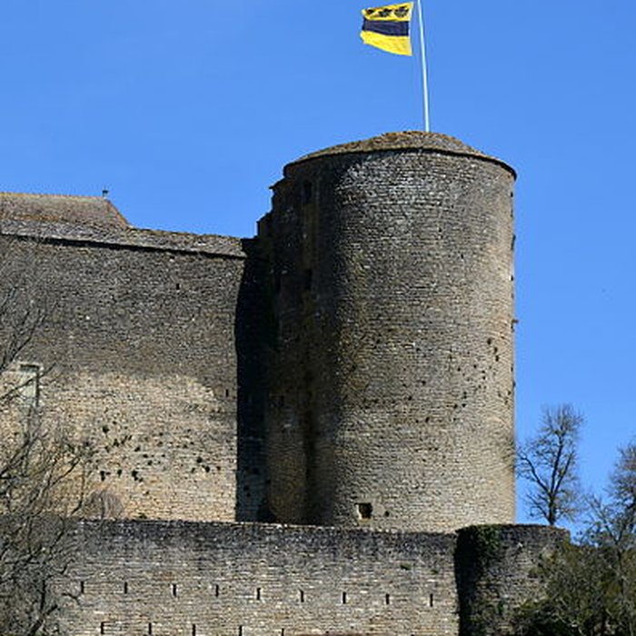 Photo de Motte féodale de Châteauneuf