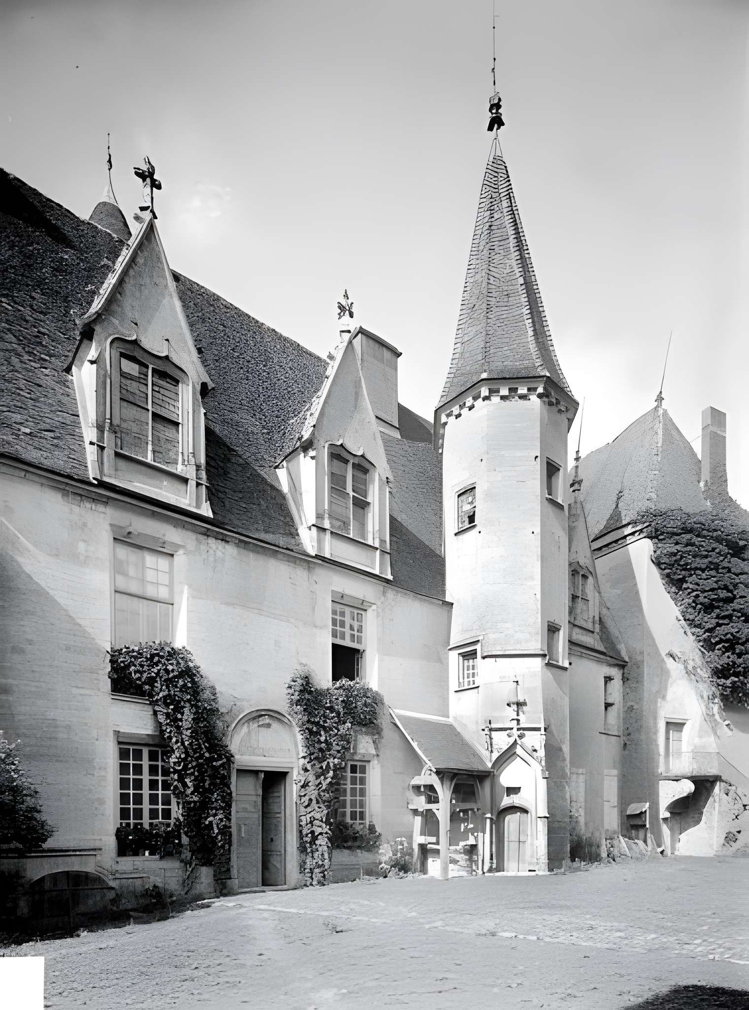 Motte féodale de Châteauneuf