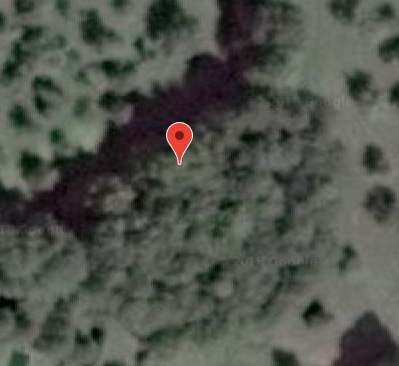 Motte féodale de Cordey à Boucé 