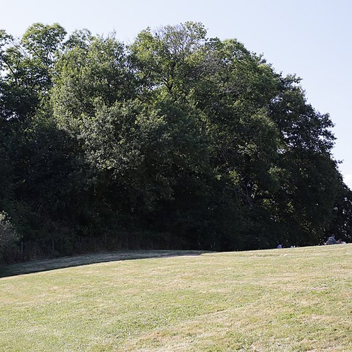 Photo de Motte féodale de Masseret