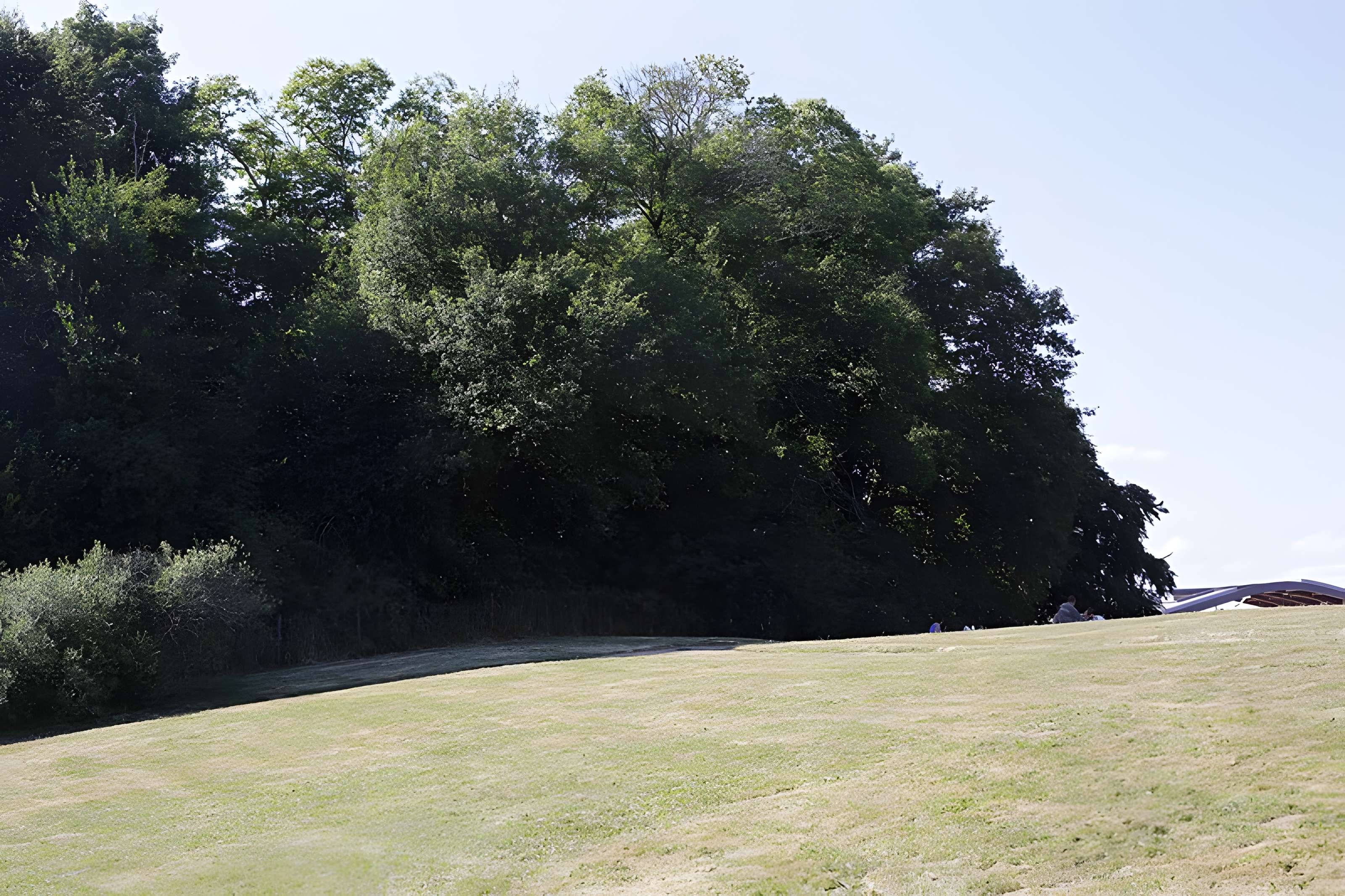 Motte féodale de Masseret