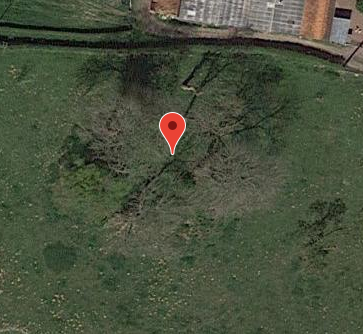 Photo de Motte féodale de Parenty