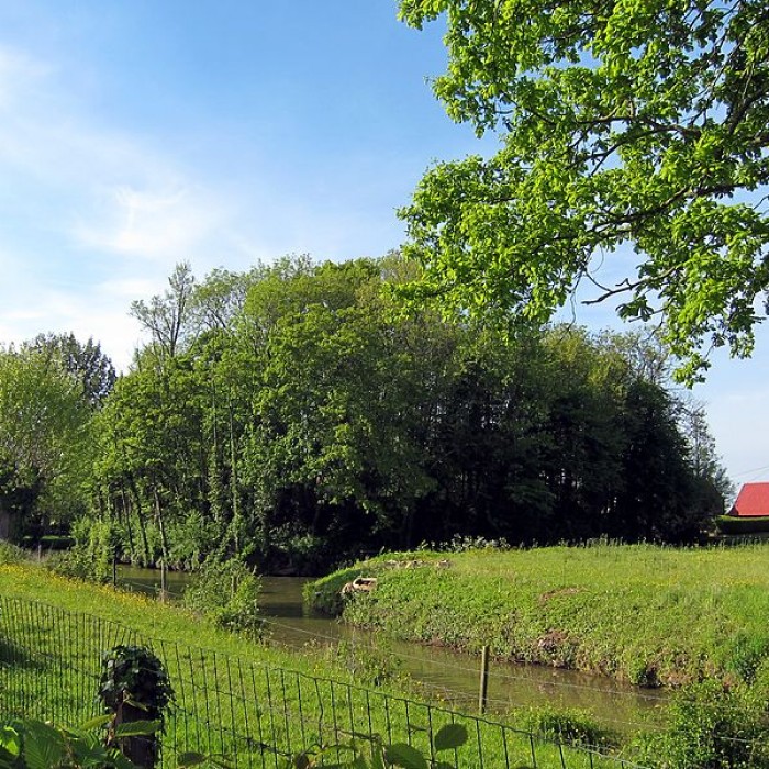 Photo de Motte féodale de Rubrouck