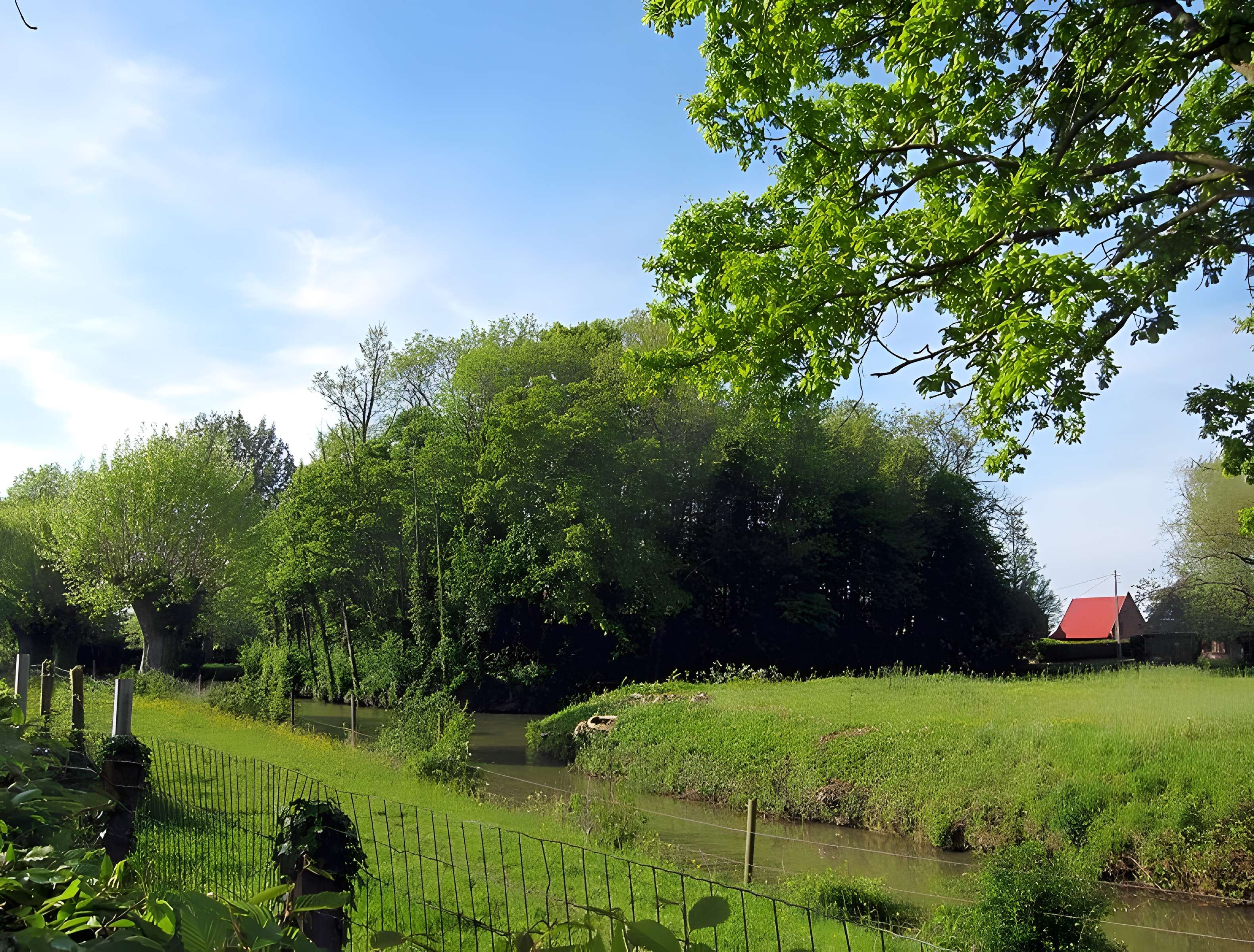 Motte féodale de Rubrouck 
