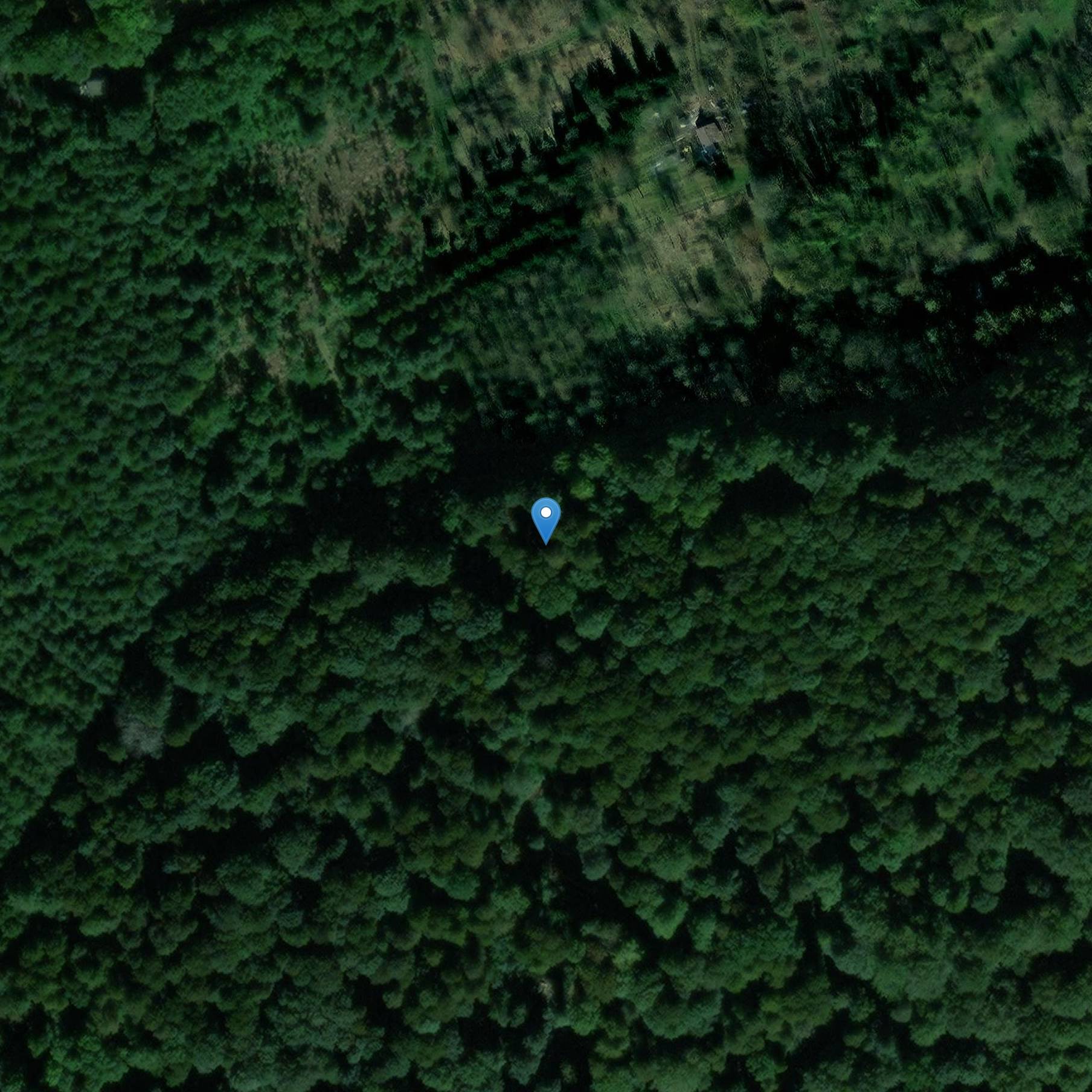 Photo de Feudal muff from Toutencourt