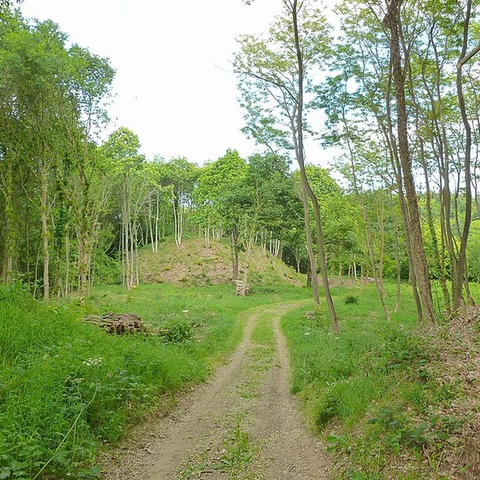 Photo de Motte féodale des Bourgs Heusas à Pléven