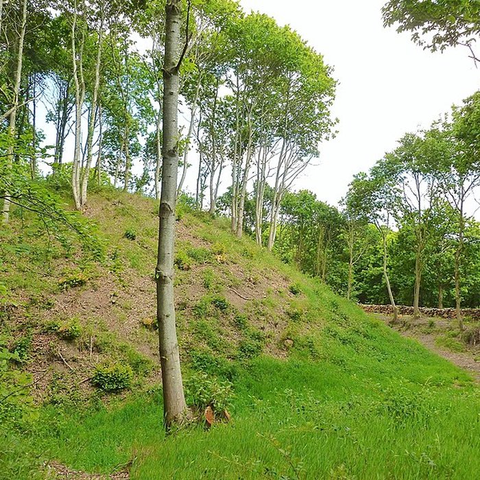 Photo de Motte féodale des Bourgs Heusas à Pléven