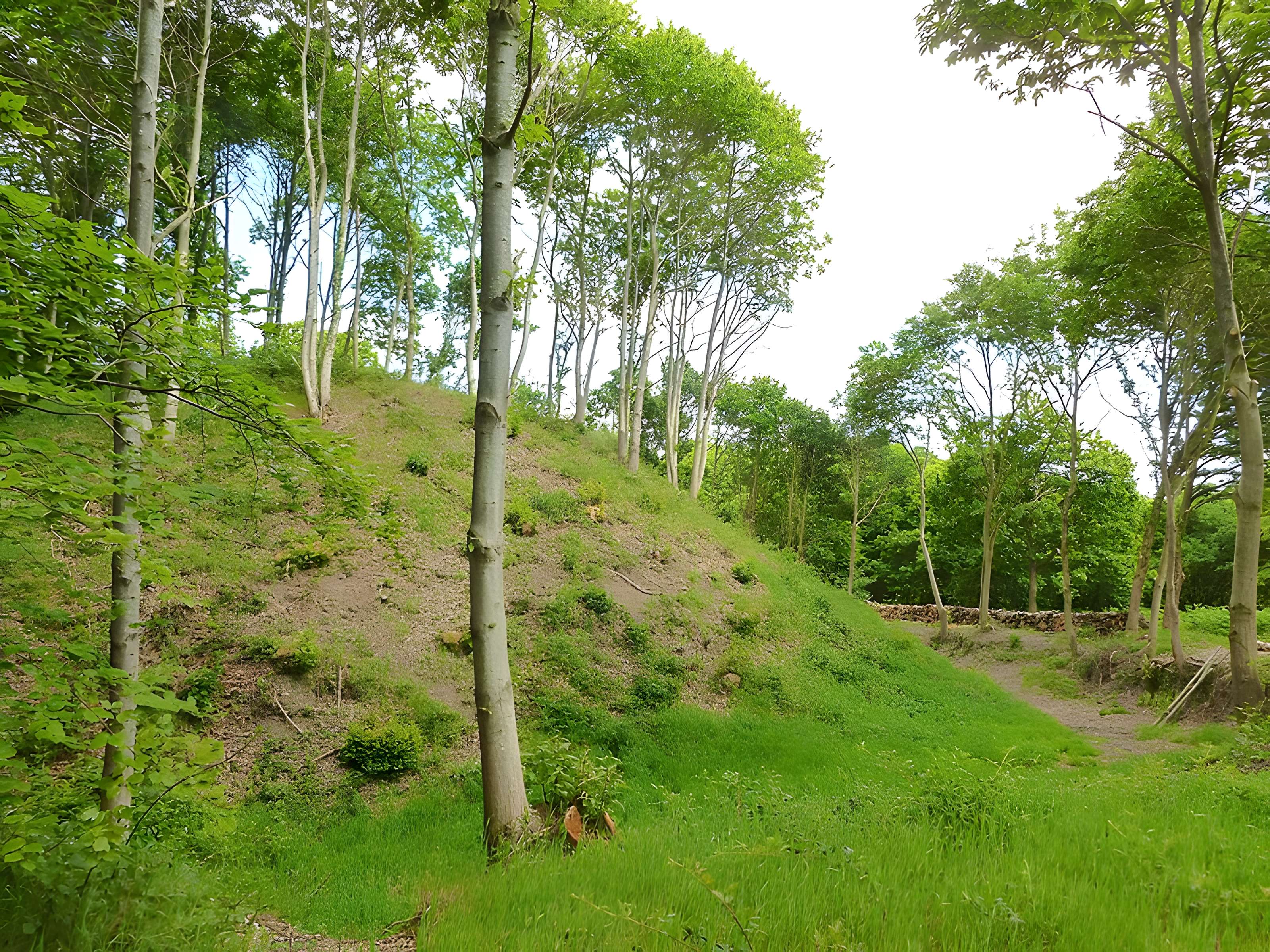 Motte féodale des Bourgs Heusas à Pléven