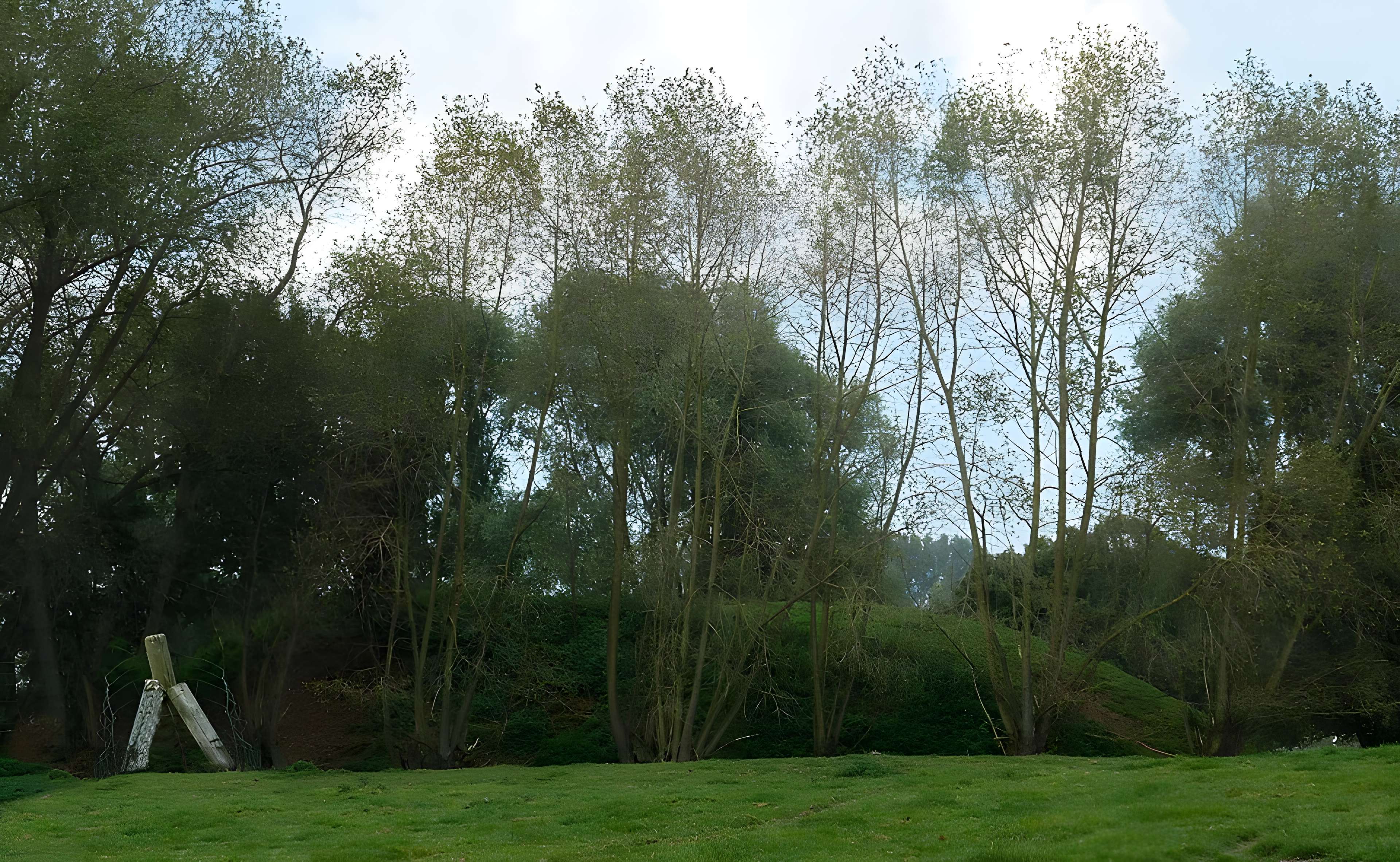 Motte féodale d'Ochtezeele