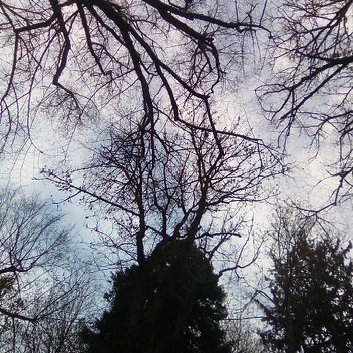 Photo de Château de Crozant