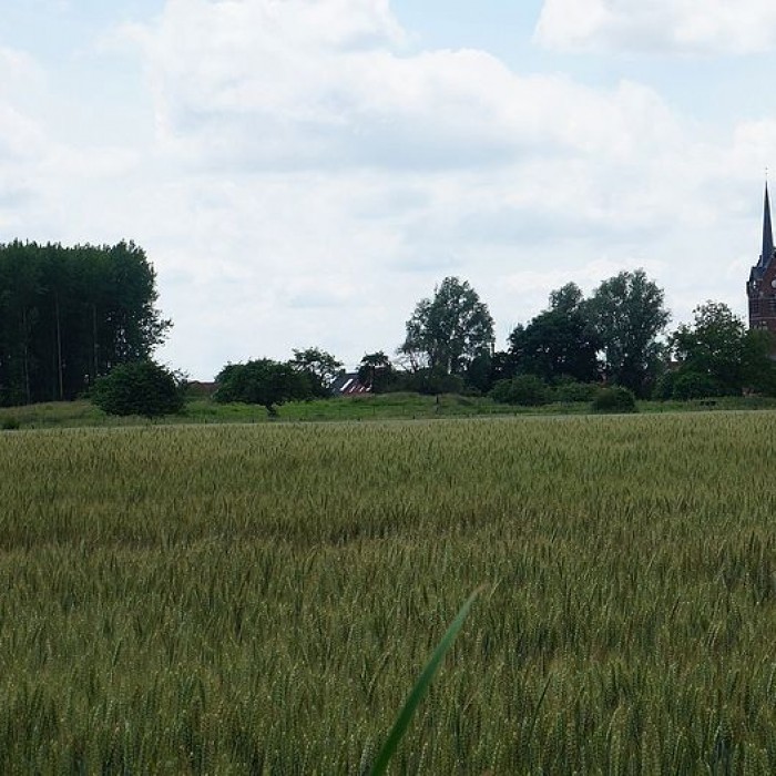 Photo de Motte féodale du Doulieu