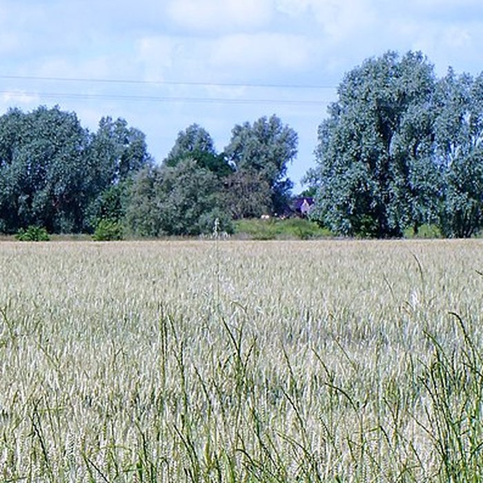 Photo de Motte féodale du Doulieu