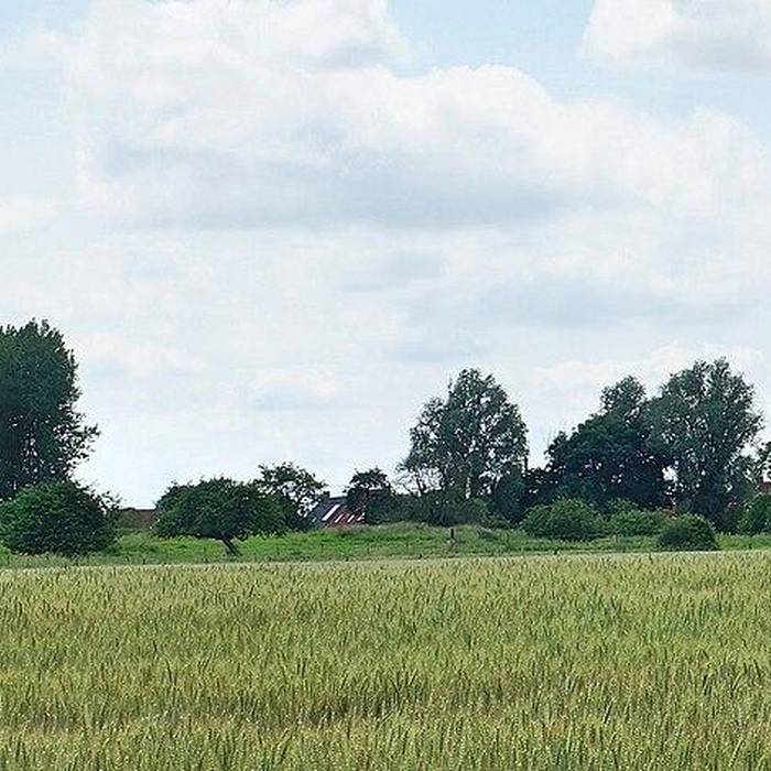 Photo de Motte féodale du Doulieu