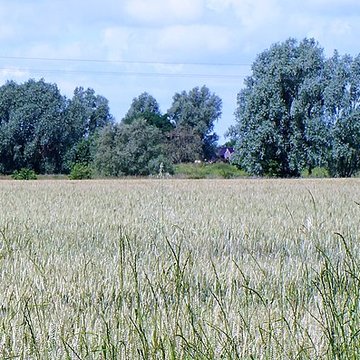 Motte féodale du Doulieu